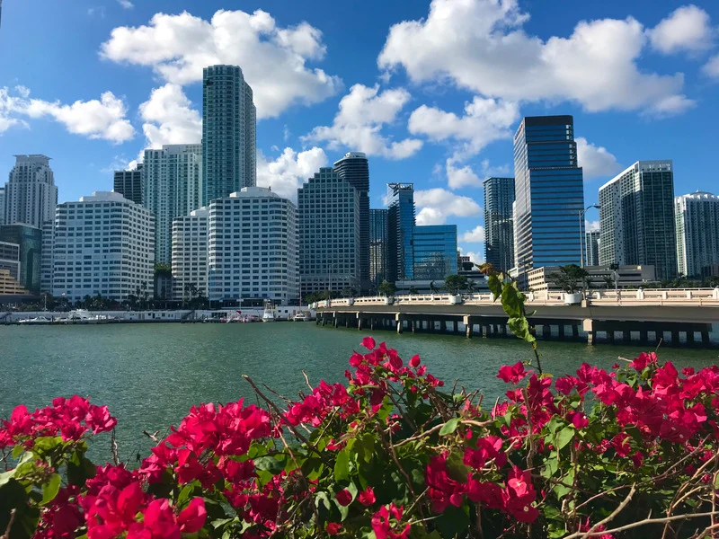 Miami Overview
